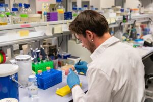 ¿Plantas que fabrican nutrientes a la carta? El CSIC halla el interruptor molecular