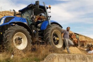 Castilla y León eleva al 25 % la ayuda al seguro agrario para jóvenes