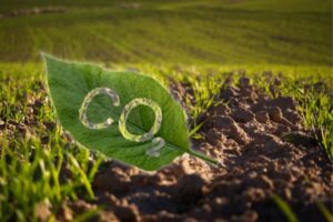 El CBAM tendrá salvaguarda para fertilizantes, pero el sector agrario no se fía del umbral