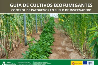 ¿Qué planta biofumigante conviene a tu invernadero?