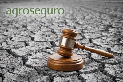 Ganaderos extremeños esperan desde 2019 una indemnización que Agroseguro sigue recurriendo