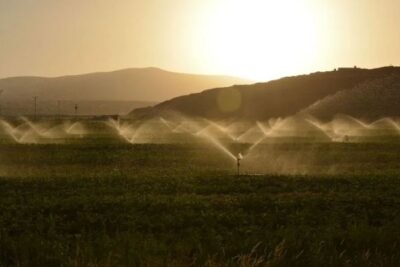 Olas de calor en el Duero: ASAJA pide aumentar las reservas para regadío