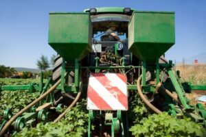Andalucía da luz verde a 2.448 ayudas para jóvenes agricultores y ganaderos