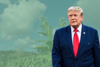 Trump convierte la agricultura regenerativa en prioridad federal