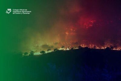 Los incendios en el centro peninsular condicionarán la ganadería extensiva durante años