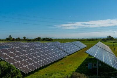 ¿Simplificación o vía rápida para las renovables? El campo vasco opina