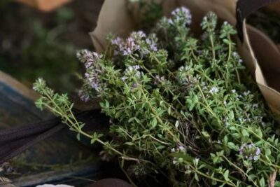 Reconocida  Interpam, la nueva interprofesional de plantas aromáticas y medicinales
