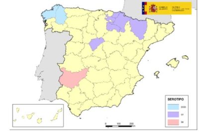 Lengua azul en España, ¿qué provincias están afectadas ahora mismo?