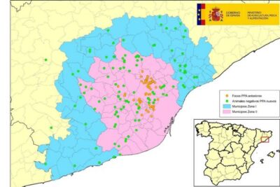 Cataluña respira: dos semanas sin nuevos positivos de PPA