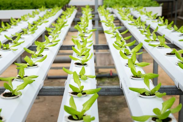El MAPA refuerza Agroinnpulso con 6 M€ más