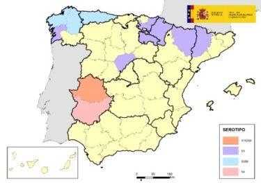 La lengua azul extiende su avance a cuatro provincias más
