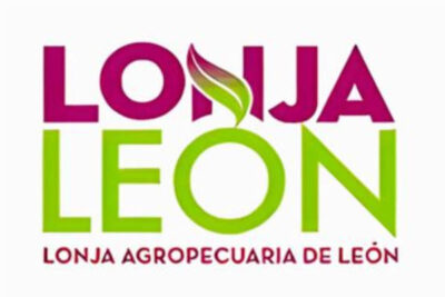 El maíz deja de cotizar en la Lonja de León ante el adelanto de cosecha