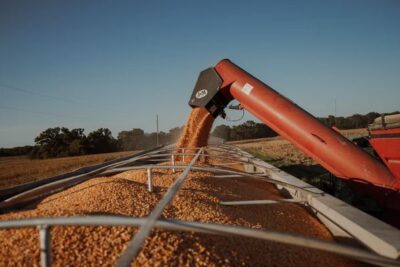 El USDA eleva sus previsiones de ingresos agrícolas, pero los costes siguen en máximos