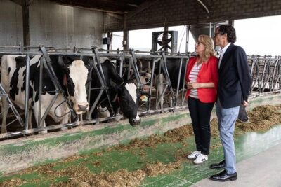 Cantabria permite sacrificar en la explotación al animal que no puede ir al matadero